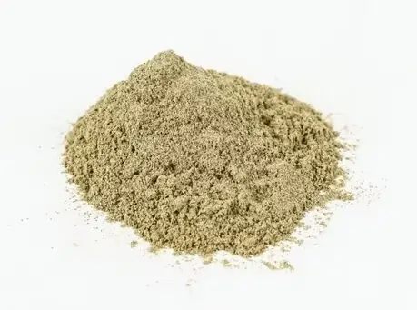 Green Gotu Kola plant leaves